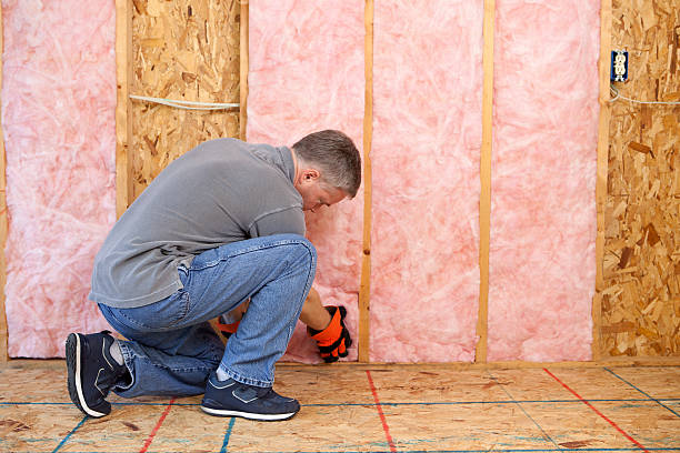 Trusted St Bonifacius, MN Insulation Contractor Experts